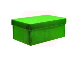 Caixa Organizadora para Sapato